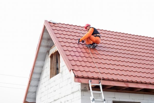 Professional service in action